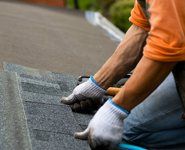 Best Residential Roofing Contractor  in Wisr, NE
