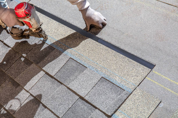 Best Roof Maintenance Services  in Wisr, NE