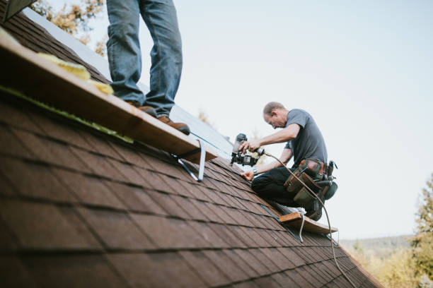 Quick and Trustworthy Emergency Roof Repair Services in Wisner, NE